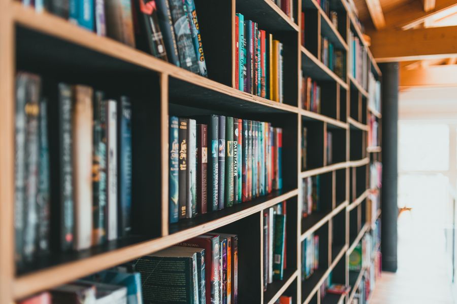 Guia de Estilo (E-book)