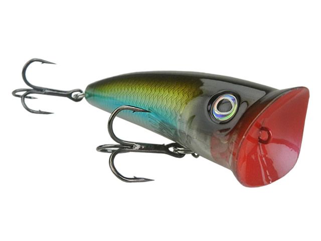 Isca Albatroz Wake 70